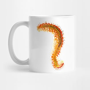 Bearded Fireworm Mug